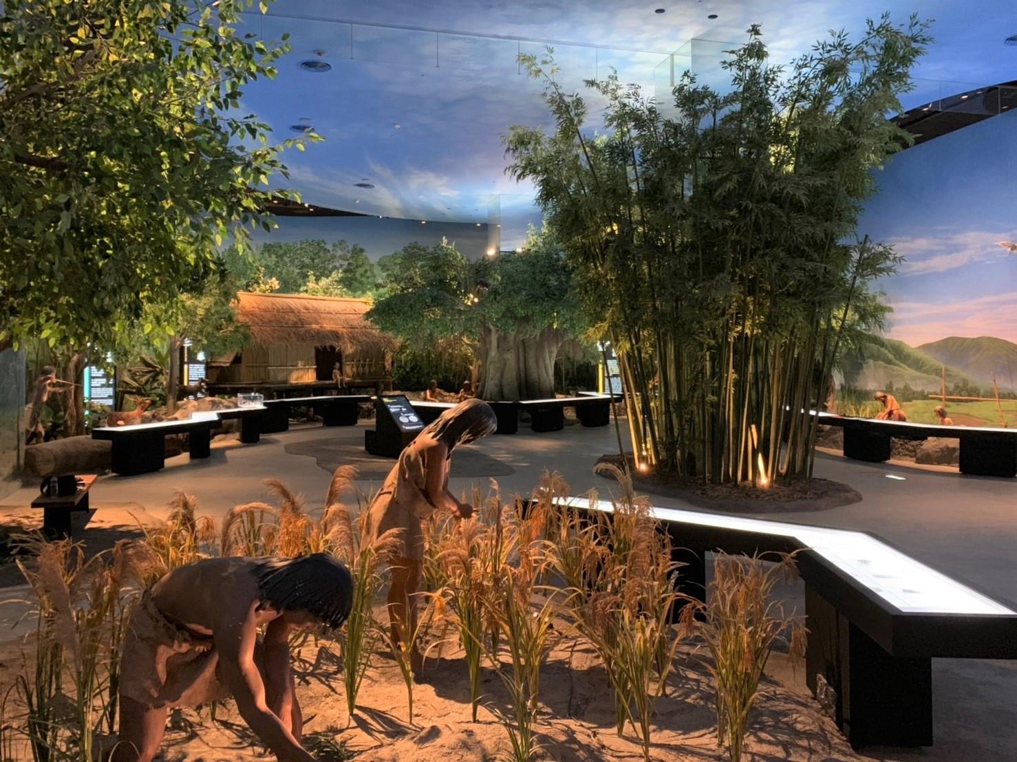 2019 台南全新打卡热点:必看《南科考古馆》黄X天井、茑松家等特色,每个角落都好玩好拍 内容图6 女神网-大潮社TV实时追踪属于女人新资讯的综合网站! 71829667_434451714094022_5314052676156129280_o