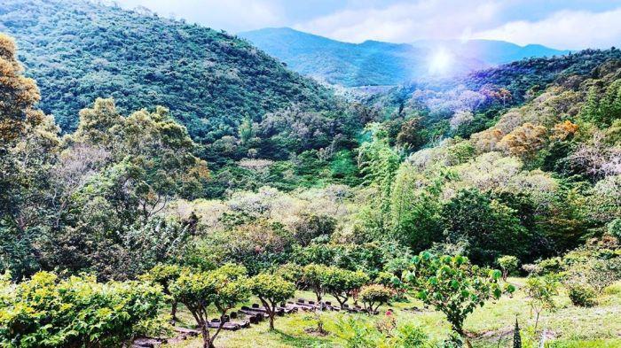 来自TW最自然的境地:探访各地原住民部落,回归原始定位心之所向 内容图6 女神网-大潮社TV实时追踪属于女人新资讯的综合网站! 来自TW最自然的境地:探访各地原住民部落,回归原始定位心之所向 乐活旅行 图6张