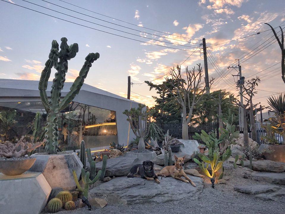 到彰化一日游:精选 4 个绝美打卡秘境,享受都市外的惬意时光 内容图5 女神网-大潮社TV实时追踪属于女人新资讯的综合网站! 46348649_251977975499560_7859896864437436416_n