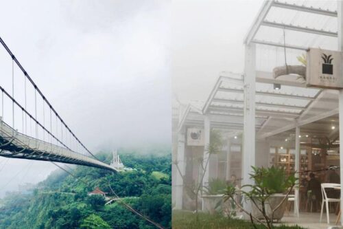 只在此山中，云深不知处！嘉义唯美“空气图书馆”周边畅游，与大自然融为一体