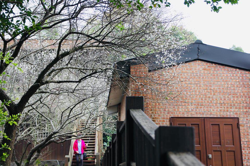 只在此山中,云深不知处!嘉义唯美“空气图书馆”周边畅游,与大自然融为一体 内容图2 女神网-大潮社TV实时追踪属于女人新资讯的综合网站! 50330354_1182907015192913_8850652369726210048_o