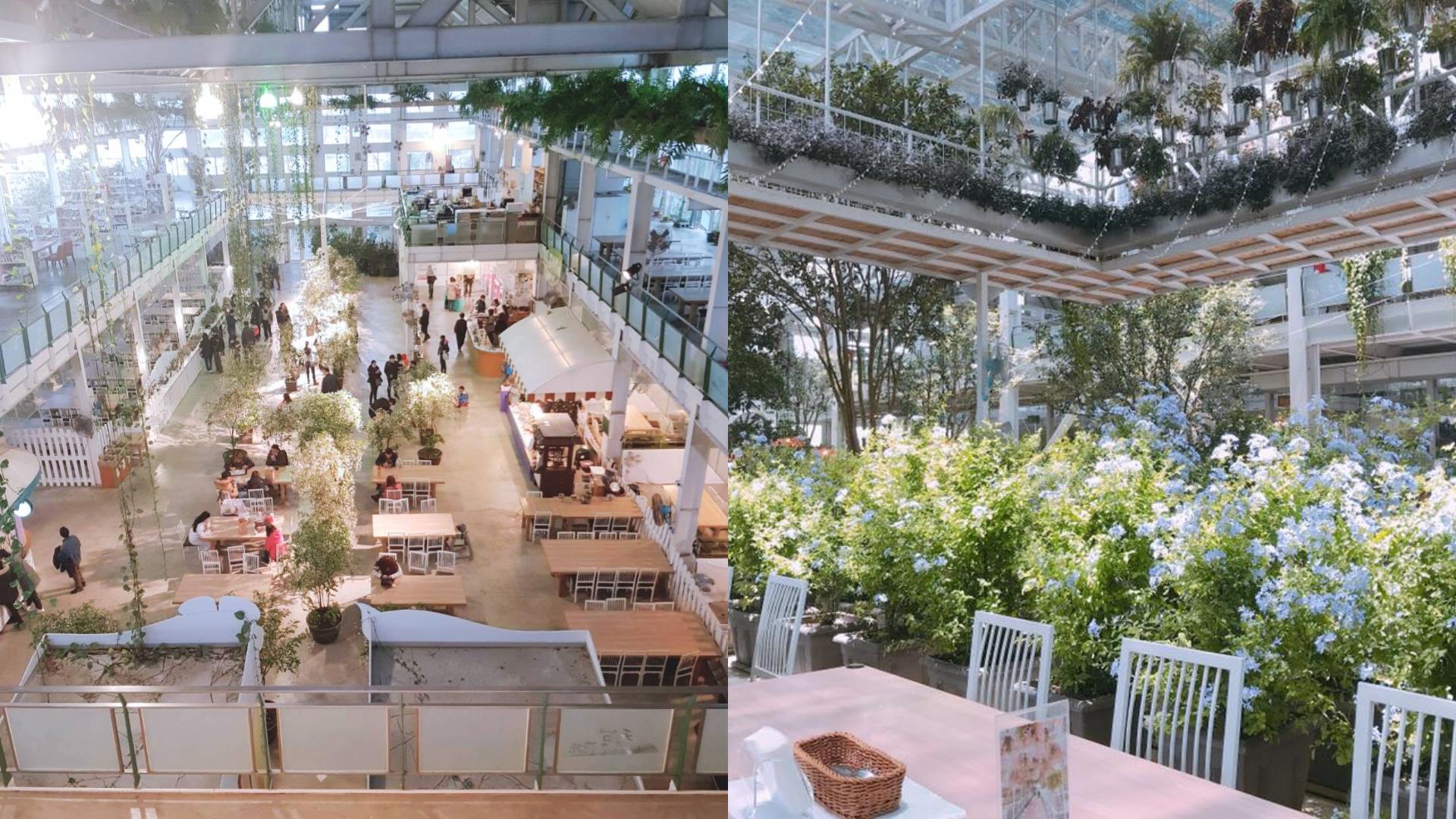 过年走春郊游去:推荐 6 个好山好水好好玩的宜兰景点,把握与家人同游的好时节 内容图6 女神网-大潮社TV实时追踪属于女人新资讯的综合网站! FotoJet (81).jpg