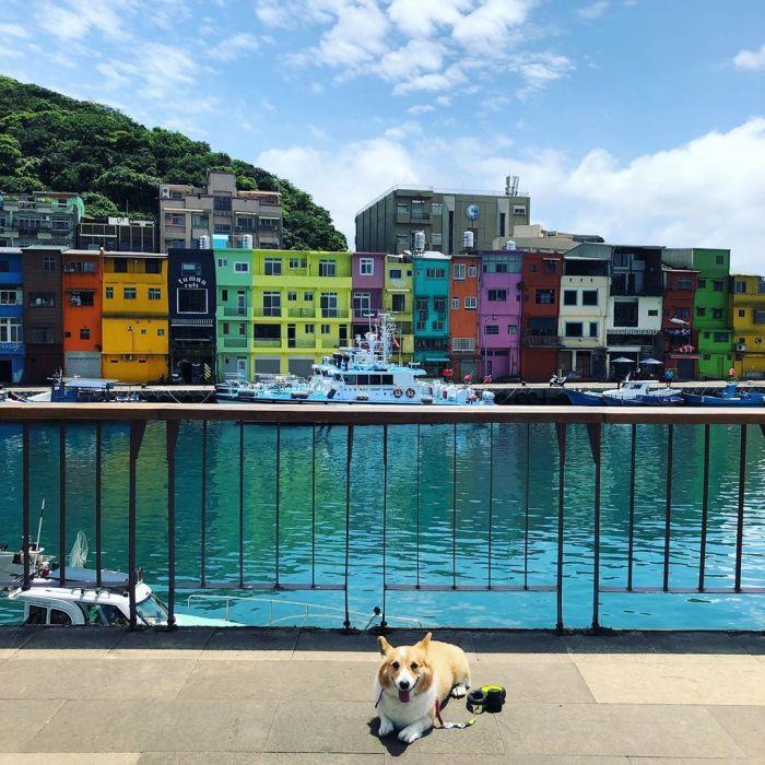 基隆不藏私秘密景点:徜徉 8 个山海风景,暂时抛开烦恼、投入自然的怀抱 内容图2 女神网-大潮社TV实时追踪属于女人新资讯的综合网站! 60809729_2668501916557515_4748921245664007080_n1