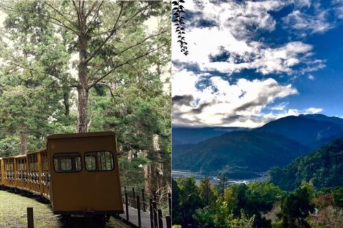 来自山林的疗愈力！挥别夏日闷燥感：走访宜兰 3 处森林游乐区，感悟大自然的渲染力