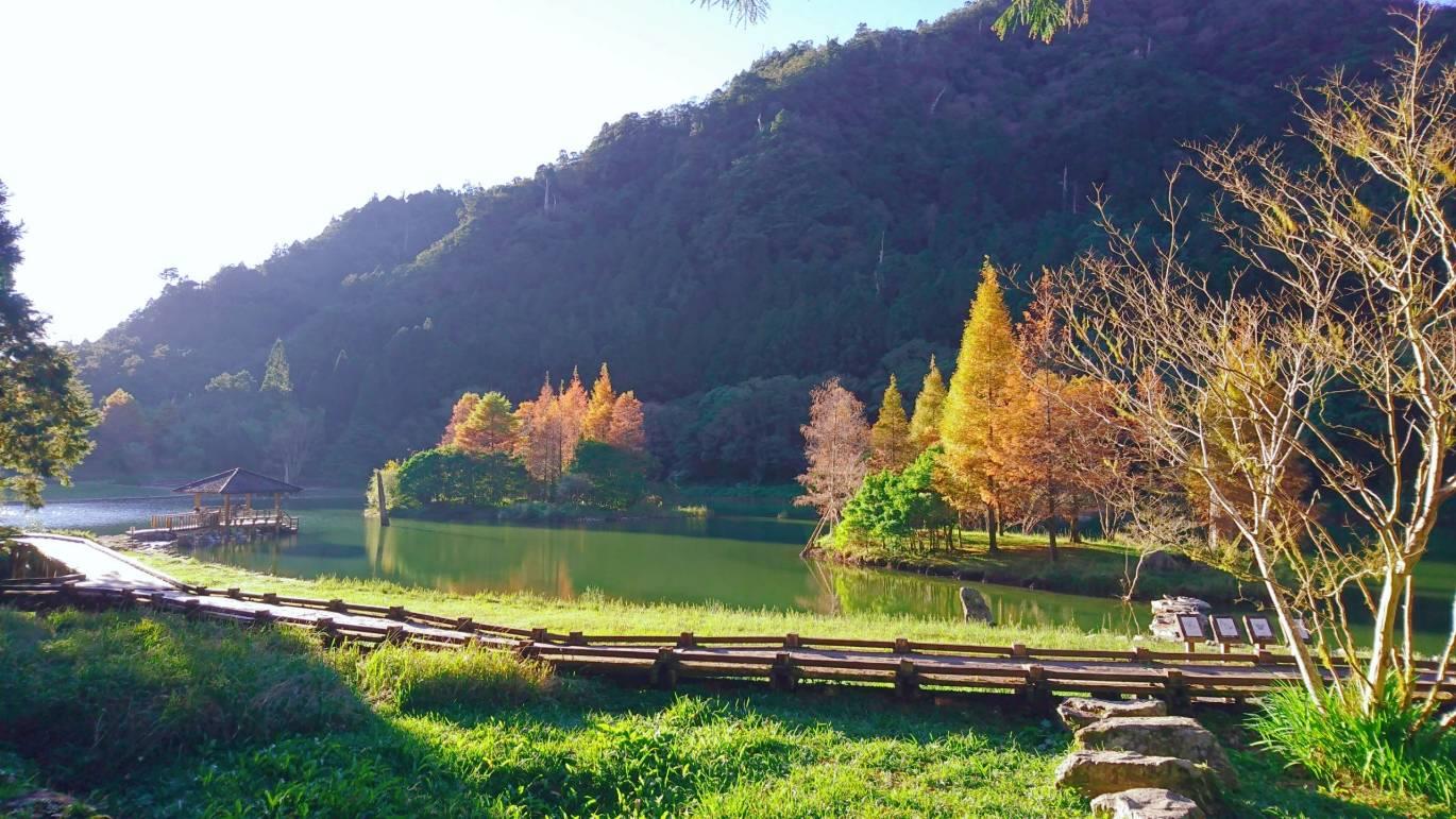 来自山林的疗愈力!挥别夏日闷燥感:走访宜兰 3 处森林游乐区,感悟大自然的渲染力 内容图3 女神网-大潮社TV实时追踪属于女人新资讯的综合网站! image007