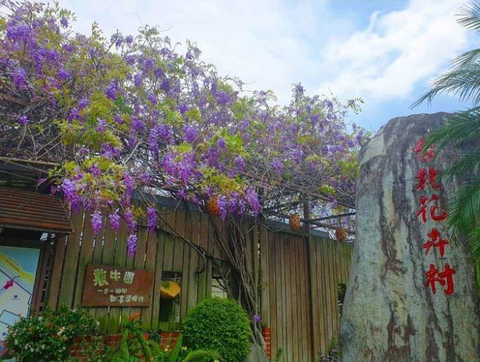 严选紫藤花海!5 景点让你徜徉于一片紫色美景,遇见前所未有的浪漫 内容图3 女神网-大潮社TV实时追踪属于女人新资讯的综合网站! 227