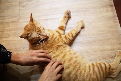 台南深夜咖啡馆:找到舒适的平衡点,生活是杯蕴含生命变数的咖啡 内容图3 女神网-大潮社TV实时追踪属于女人新资讯的综合网站! 台南深夜咖啡馆:找到舒适的平衡点,生活是杯蕴含生命变数的咖啡 乐活旅行 图3张