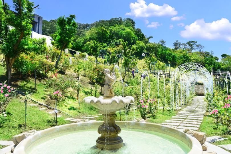 春意盎然的郊游之季!苗栗 4 个花草系浪漫景点,与家人朋友踏着绿意,享受百花盛开之美 内容图2 女神网-大潮社TV实时追踪属于女人新资讯的综合网站! 春意盎然的郊游之季!苗栗 4 个花草系浪漫景点,与家人朋友踏着绿意,享受百花盛开之美 乐活旅行 图2张