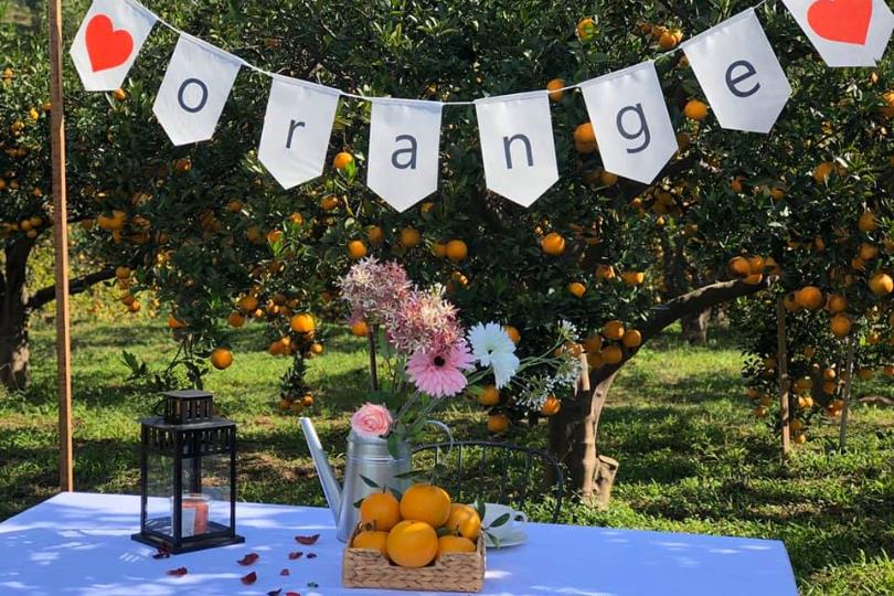 春意盎然的郊游之季!苗栗 4 个花草系浪漫景点,与家人朋友踏着绿意,享受百花盛开之美 内容图4 女神网-大潮社TV实时追踪属于女人新资讯的综合网站! 春意盎然的郊游之季!苗栗 4 个花草系浪漫景点,与家人朋友踏着绿意,享受百花盛开之美 乐活旅行 图4张