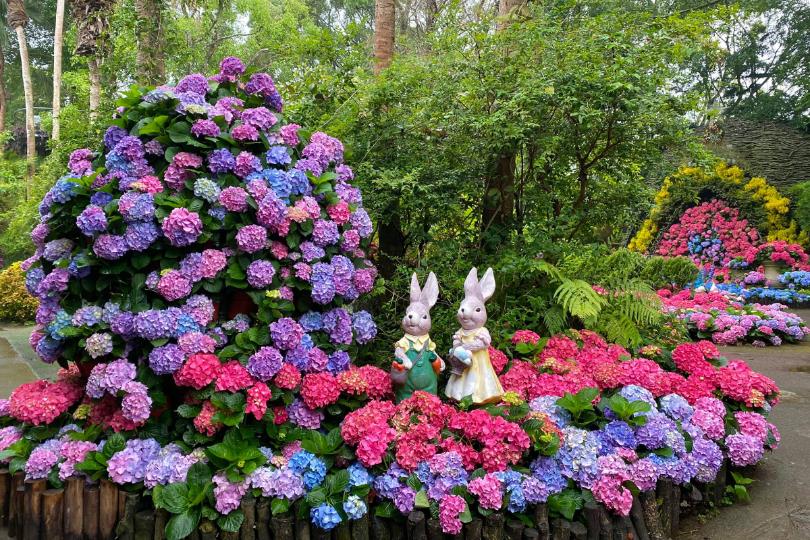 春意盎然的郊游之季!苗栗 4 个花草系浪漫景点,与家人朋友踏着绿意,享受百花盛开之美 内容图5 女神网-大潮社TV实时追踪属于女人新资讯的综合网站! 春意盎然的郊游之季!苗栗 4 个花草系浪漫景点,与家人朋友踏着绿意,享受百花盛开之美 乐活旅行 图5张