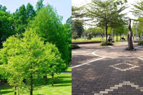 离尘不离城！5 座城市系森林公园推荐，不用出远门就能享受森林芬多精