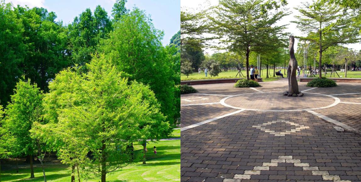 离尘不离城!5 座城市系森林公园推荐,不用出远门就能享受森林芬多精 内容图1 女神网-大潮社TV实时追踪属于女人新资讯的综合网站! 离尘不离城!5 座城市系森林公园推荐,不用出远门就能享受森林芬多精 乐活旅行 图1张