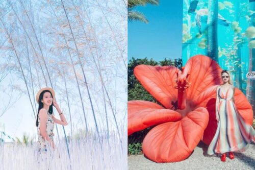 IG 经典“雪白森林”打卡照原来在这：台中艺游位境 200 坪造景，免费拍个够！