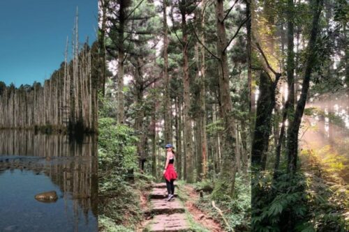 内地台湾 8 条隐藏版绝美森林步道！置身秘境般的美景，享受沐浴芬多精里的畅快