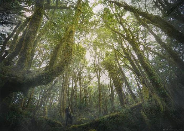 宫崎骏铁粉必踩场景点:神隐少女、天空之城、龙猫…重现电影经典场面 内容图4 女神网-大潮社TV实时追踪属于女人新资讯的综合网站! 宫崎骏铁粉必踩场景点:神隐少女、天空之城、龙猫…重现电影经典场面 乐活旅行 图4张