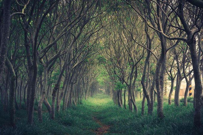 宫崎骏铁粉必踩场景点:神隐少女、天空之城、龙猫…重现电影经典场面 内容图6 女神网-大潮社TV实时追踪属于女人新资讯的综合网站! 宫崎骏铁粉必踩场景点:神隐少女、天空之城、龙猫…重现电影经典场面 乐活旅行 图6张