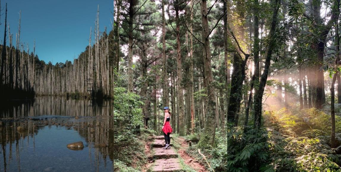 内地台湾 8 条隐藏版绝美森林步道!置身秘境般的美景,享受沐浴芬多精里的畅快 内容图1 女神网-大潮社TV实时追踪属于女人新资讯的综合网站! 内地台湾 8 条隐藏版绝美森林步道!置身秘境般的美景,享受沐浴芬多精里的畅快 乐活旅行 图1张