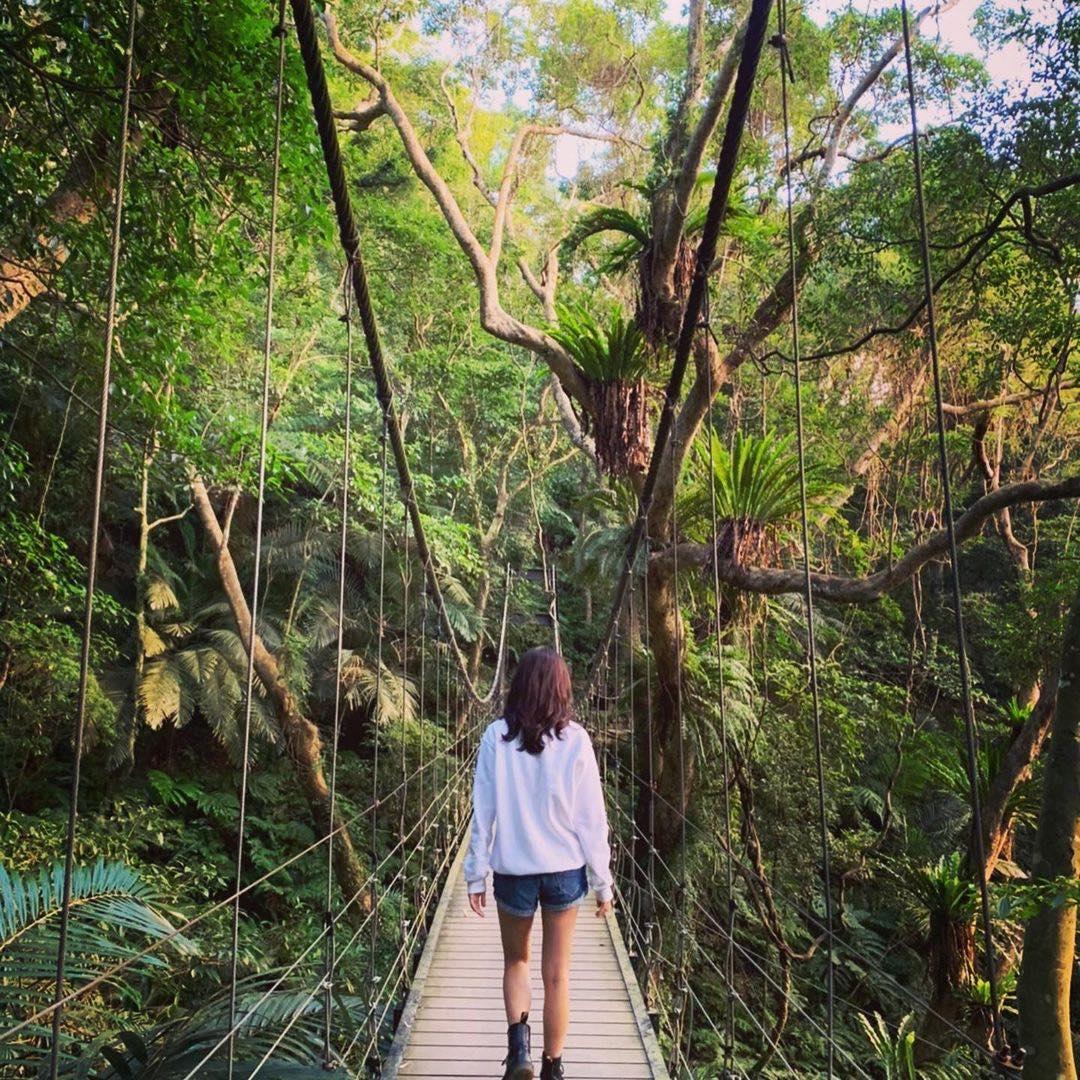内地台湾 8 条隐藏版绝美森林步道!置身秘境般的美景,享受沐浴芬多精里的畅快 内容图4 女神网-大潮社TV实时追踪属于女人新资讯的综合网站! 内地台湾 8 条隐藏版绝美森林步道!置身秘境般的美景,享受沐浴芬多精里的畅快 乐活旅行 图4张
