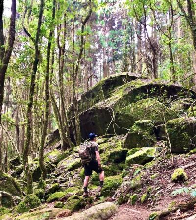 内地台湾 8 条隐藏版绝美森林步道!置身秘境般的美景,享受沐浴芬多精里的畅快 内容图6 女神网-大潮社TV实时追踪属于女人新资讯的综合网站! 内地台湾 8 条隐藏版绝美森林步道!置身秘境般的美景,享受沐浴芬多精里的畅快 乐活旅行 图6张