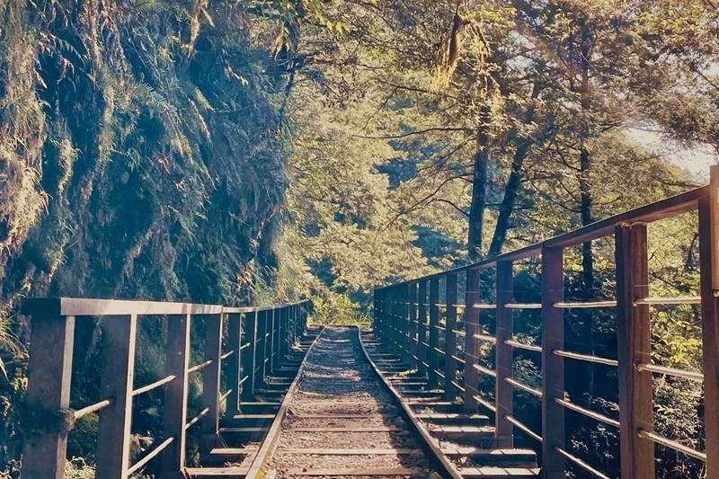 内地台湾 8 条隐藏版绝美森林步道!置身秘境般的美景,享受沐浴芬多精里的畅快 内容图7 女神网-大潮社TV实时追踪属于女人新资讯的综合网站! 内地台湾 8 条隐藏版绝美森林步道!置身秘境般的美景,享受沐浴芬多精里的畅快 乐活旅行 图7张