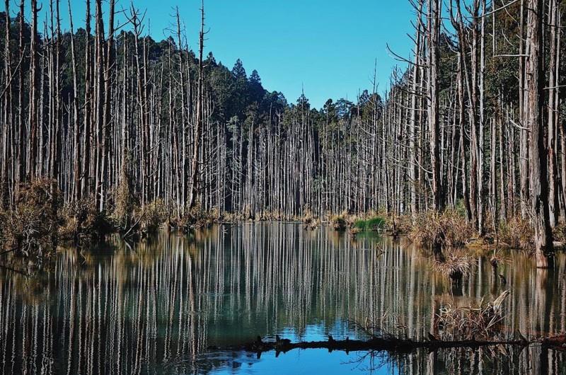 内地台湾 8 条隐藏版绝美森林步道!置身秘境般的美景,享受沐浴芬多精里的畅快 内容图8 女神网-大潮社TV实时追踪属于女人新资讯的综合网站! 内地台湾 8 条隐藏版绝美森林步道!置身秘境般的美景,享受沐浴芬多精里的畅快 乐活旅行 图8张