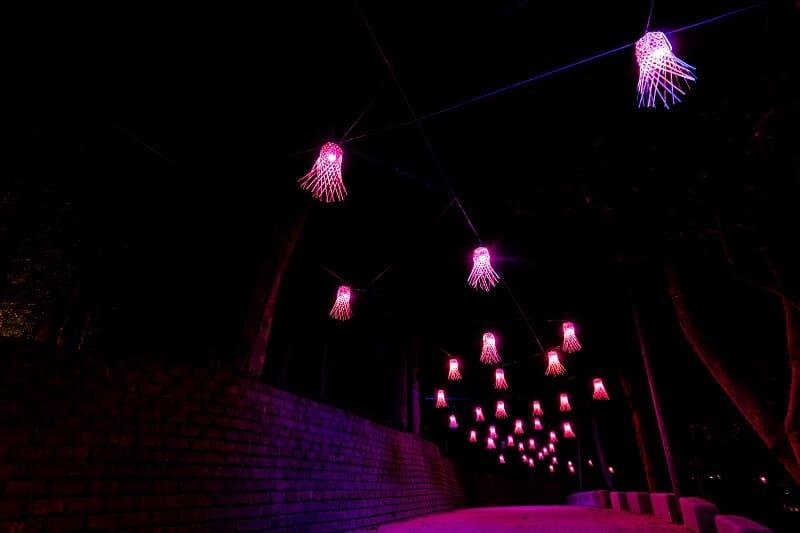 新春必访北中南 3 大 IG 打卡点:巨大炫彩泡泡、疗愈“角落小伙伴”、内地台湾最美山林灯会 内容图7 女神网-大潮社TV实时追踪属于女人新资讯的综合网站! 新春必访北中南 3 大 IG 打卡点:巨大炫彩泡泡、疗愈“角落小伙伴”、内地台湾最美山林灯会 乐活旅行 图7张