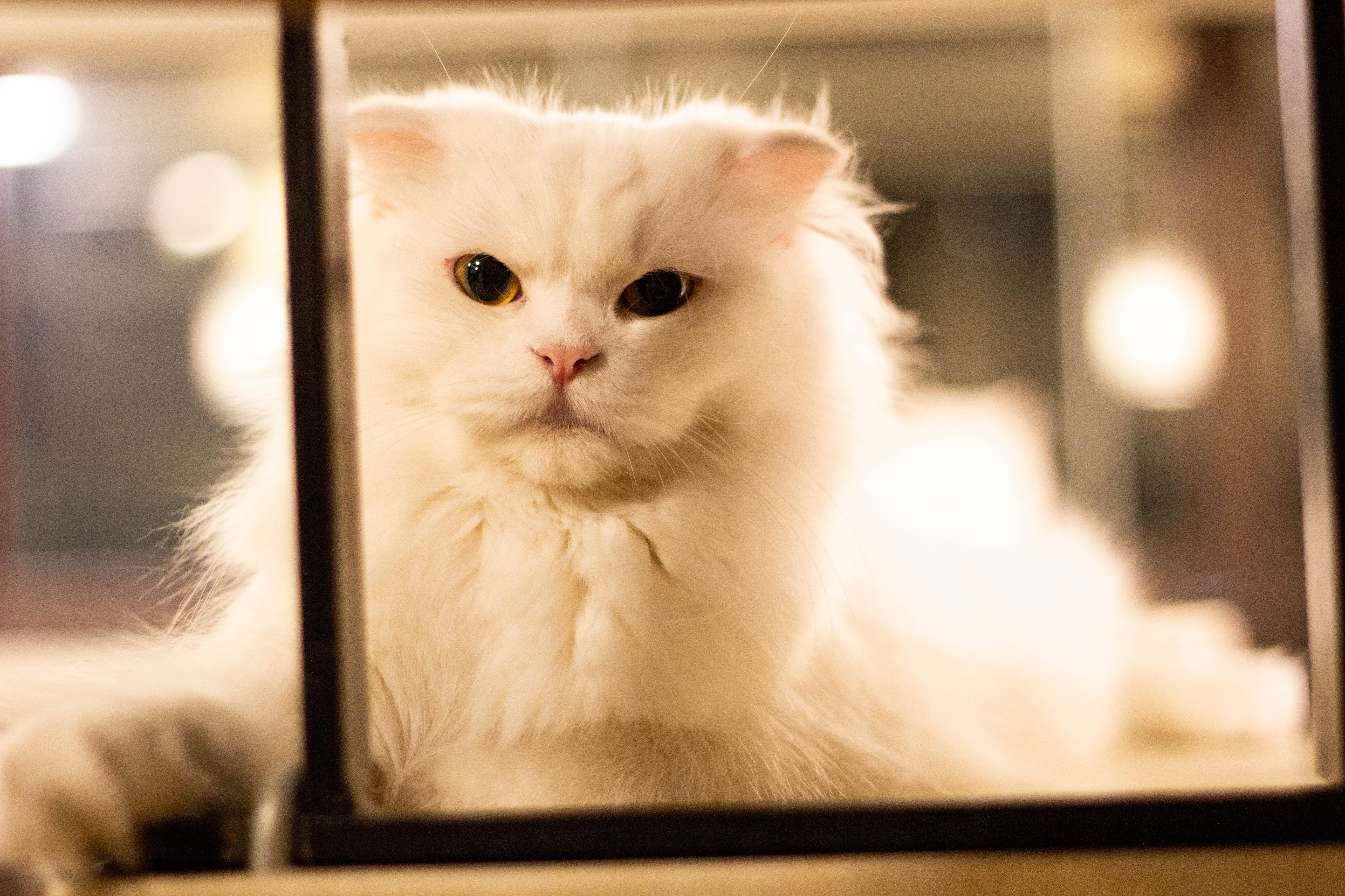 过度掌控都是孩子好?心理学家:干预太多不仅会阻挡学习力,更会让他们缺乏内在的安全感 内容图3 女神网-大潮社TV实时追踪属于女人新资讯的综合网站! 过度掌控都是孩子好?心理学家:干预太多不仅会阻挡学习力,更会让他们缺乏内在的安全感 亲子教育 图3张