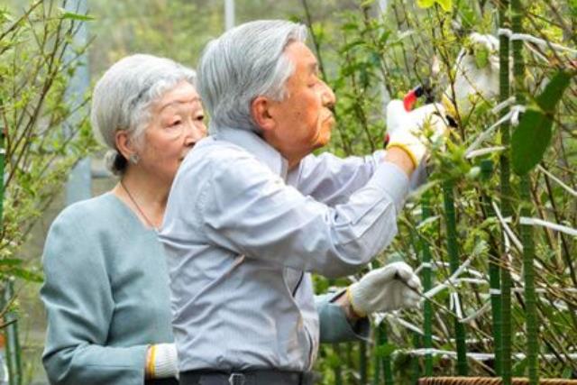 最感人的爱藏在微小的日常时刻!品味阿公阿嬷的 12 个忠告,让婚姻得以绵延、细水长流 内容图3 女神网-大潮社TV实时追踪属于女人新资讯的综合网站! 最感人的爱藏在微小的日常时刻!品味阿公阿嬷的 12 个忠告,让婚姻得以绵延、细水长流 婚姻经营 图3张