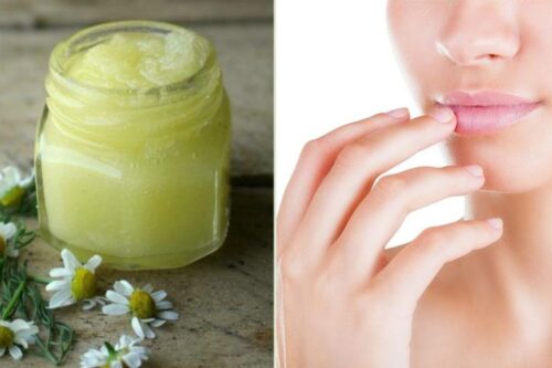 秋冬唇部保养 5 原则！搞定脱皮、暗沉，轻松打造人人称羡的樱花唇