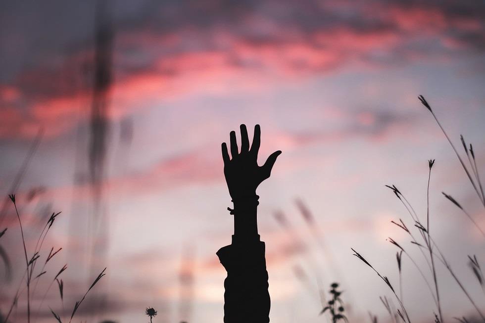 老伴临终他压抑忍泪,临床心理师:“哭泣并非懦弱,而是带你勇敢前行的力量” 内容图4 女神网-大潮社TV实时追踪属于女人新资讯的综合网站! bryan-minear-317365-unsplash.jpg