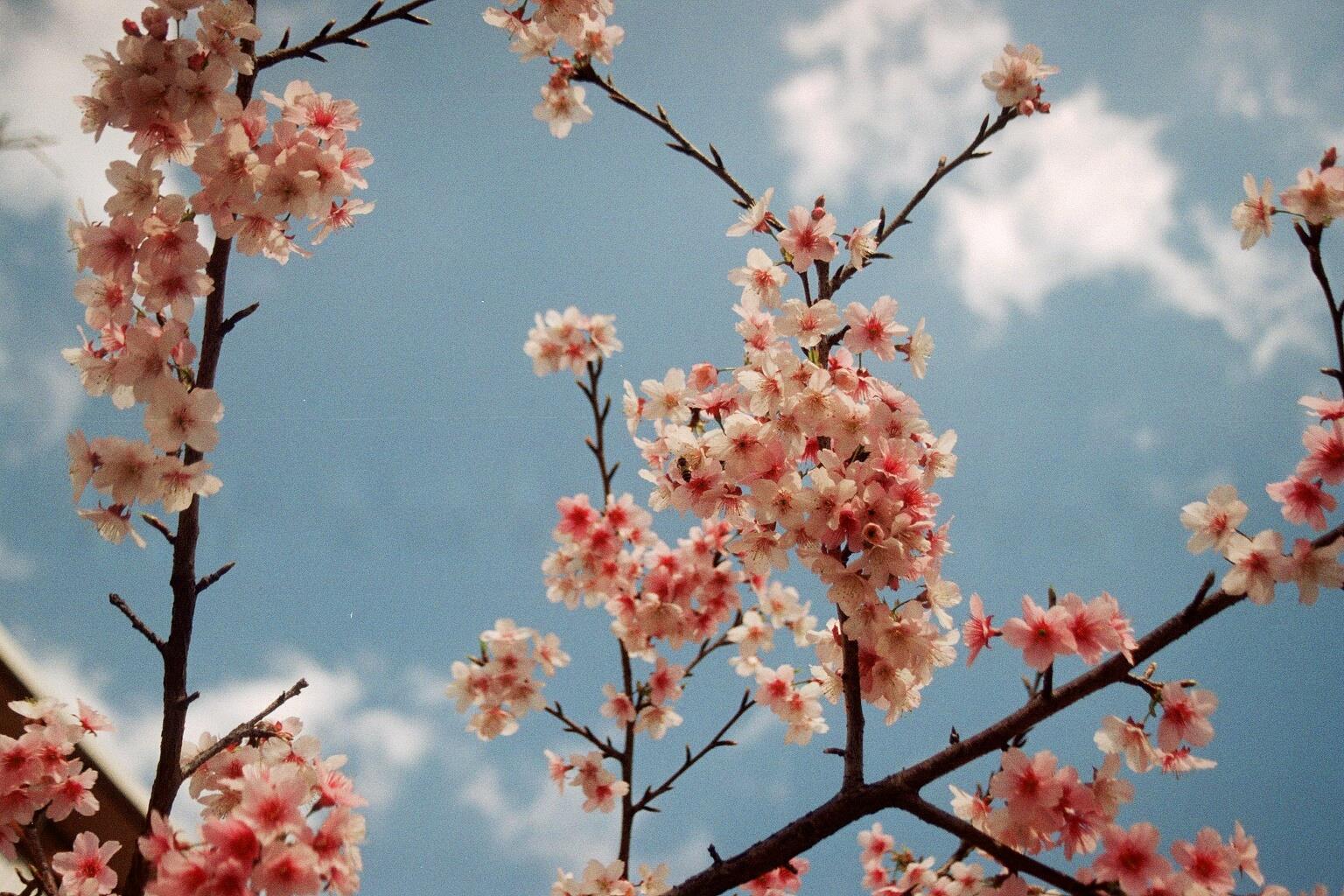 感情里面,要维持多远的距离,才是最恰当的?心理学专家:“这是一个没有标准答案的问题。” 内容图2 女神网-大潮社TV实时追踪属于女人新资讯的综合网站! 62550015