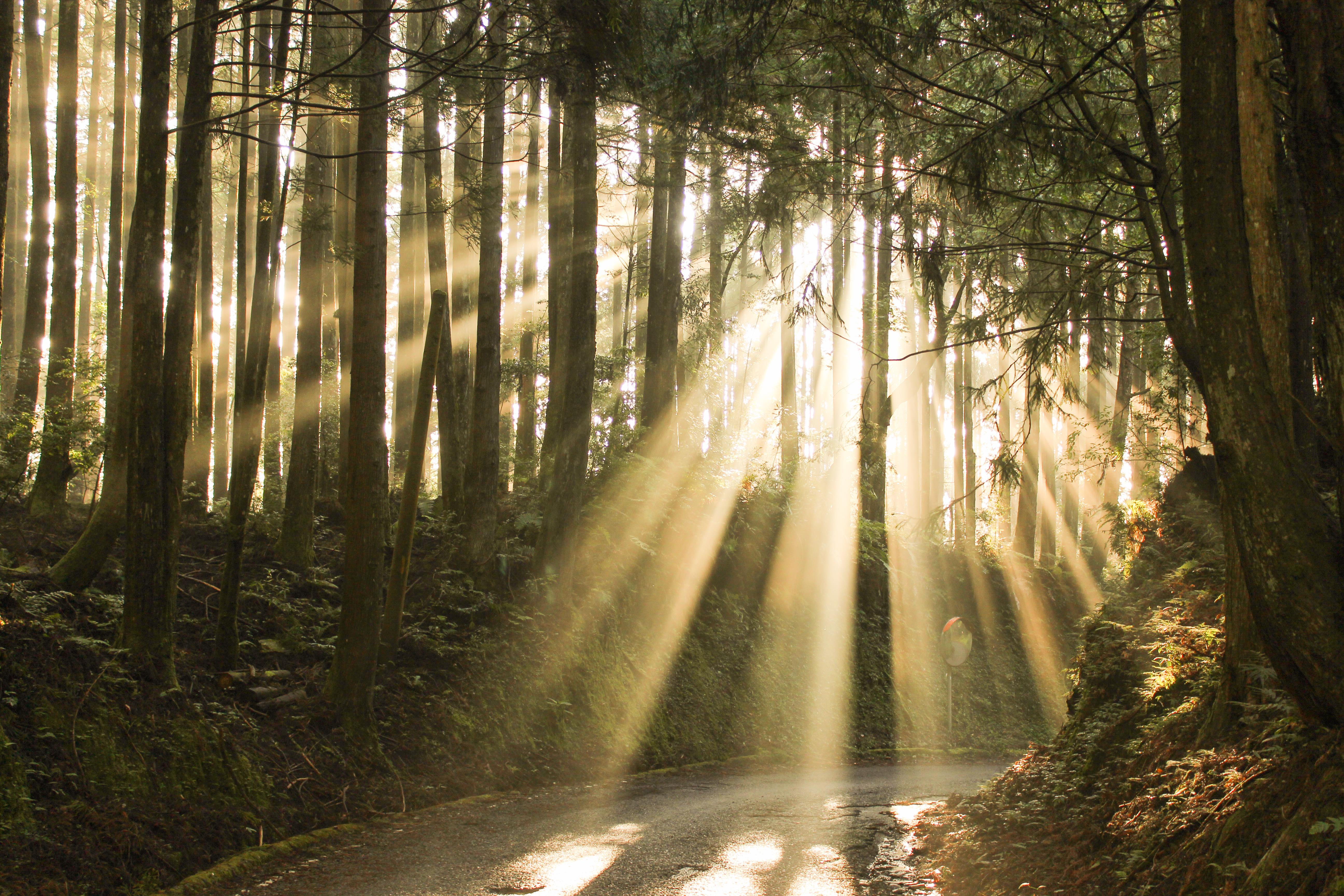 分手后仍念念不忘前任的好?心理学角度:也许是“未竟事宜”的满足感在作祟 内容图3 女神网-大潮社TV实时追踪属于女人新资讯的综合网站! IMG_2539