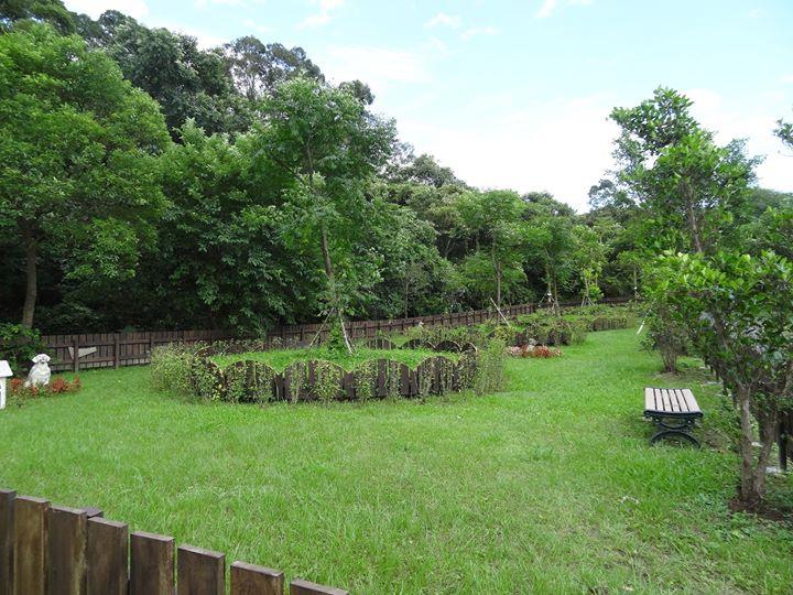 再见了!学着和宠物“好好道别”,善终它生命的最后一段旅程 内容图2 女神网-大潮社TV实时追踪属于女人新资讯的综合网站! 11999729_955405507860373_3772234558507727834_o