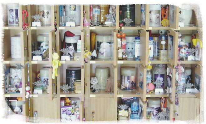 再见了!学着和宠物“好好道别”,善终它生命的最后一段旅程 内容图3 女神网-大潮社TV实时追踪属于女人新资讯的综合网站! 9