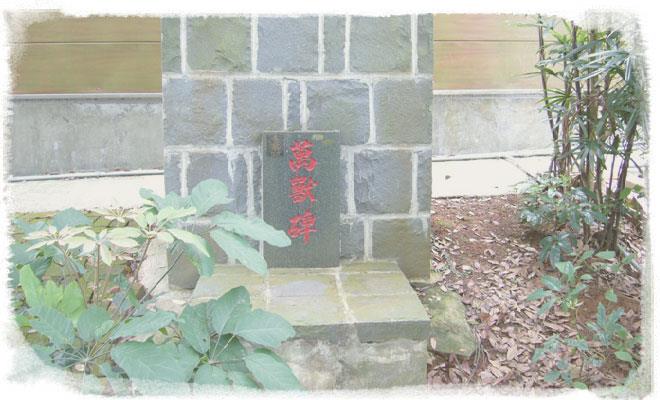 再见了!学着和宠物“好好道别”,善终它生命的最后一段旅程 内容图6 女神网-大潮社TV实时追踪属于女人新资讯的综合网站! 11