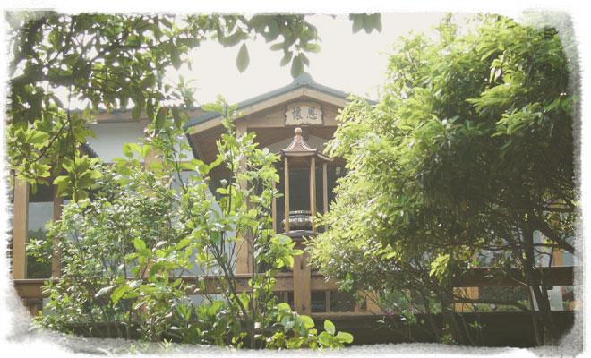 再见了!学着和宠物“好好道别”,善终它生命的最后一段旅程 内容图7 女神网-大潮社TV实时追踪属于女人新资讯的综合网站! 2