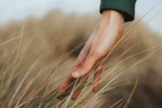 每天练习让自己变得更好:趁单身时提升自我安全感,透过朋友的陪伴改变内在的固执信念 内容图2 女神网-大潮社TV实时追踪属于女人新资讯的综合网站! 每天练习让自己变得更好:趁单身时提升自我安全感,透过朋友的陪伴改变内在的固执信念 女人心事 图2张