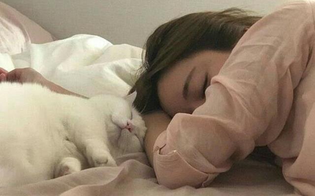 “一个人”不好吗?普罗大众眼中的“好”,对你来说并非如此:不论是追求人生哪个面向,请记得先以自己为主 内容图3 女神网-大潮社TV实时追踪属于女人新资讯的综合网站! “一个人”不好吗?普罗大众眼中的“好”,对你来说并非如此:不论是追求人生哪个面向,请记得先以自己为主 女人心事 图3张