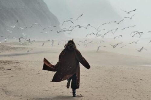 不断寻找备胎就一定是错的吗？爱得越深、就伤得越重：我们都在飘忽的爱情里摸索出更深的人生价值