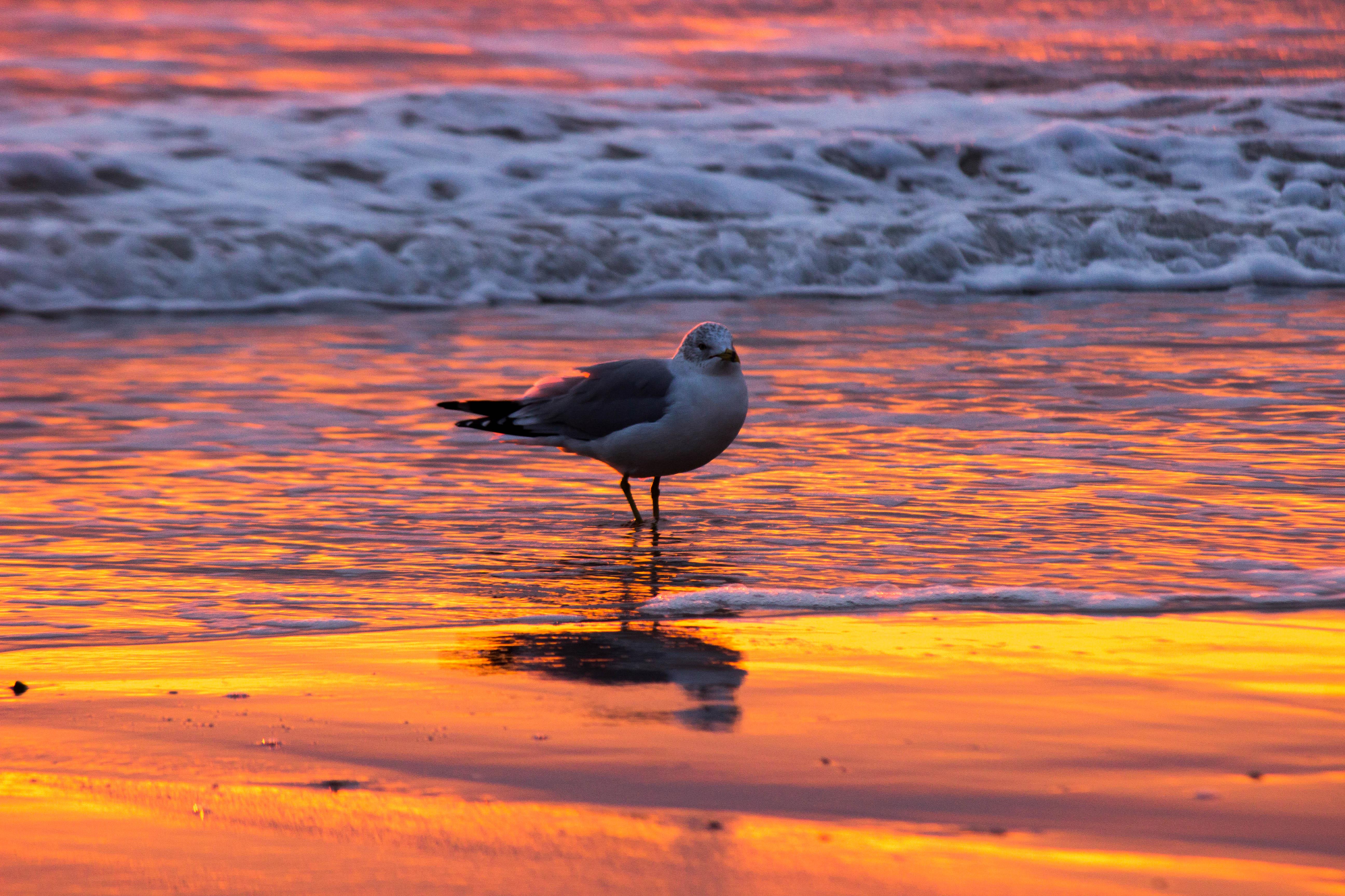 独立=安全感缺乏?从家庭教育的因素探讨,勇敢去认识那些隐藏已久的情绪 内容图3 女神网-大潮社TV实时追踪属于女人新资讯的综合网站! 独立=安全感缺乏?从家庭教育的因素探讨,勇敢去认识那些隐藏已久的情绪 女人心事 图3张
