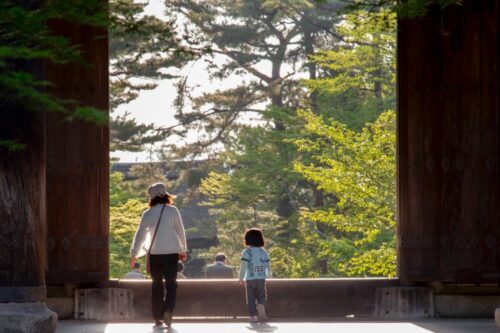 安全感是食物之外最重要的生存需求：它是建立稳定情绪、良善人际互动的必备法则