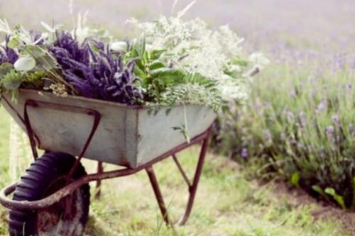 一年即将过去了，你完成了几件事？洪雪珍：“比起完美，更重要的是有始有终！”