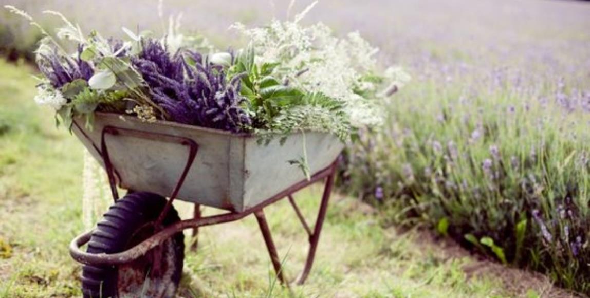 一年即将过去了,你完成了几件事?洪雪珍:“比起完美,更重要的是有始有终!” 内容图1 女神网-大潮社TV实时追踪属于女人新资讯的综合网站! 一年即将过去了,你完成了几件事?洪雪珍:“比起完美,更重要的是有始有终!” 心灵励志 图1张