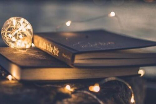 “我们终其一生，都在寻找一个最适合的姿态活着”：从 7 本好书的经典语句中，温柔地覆盖你的一整年