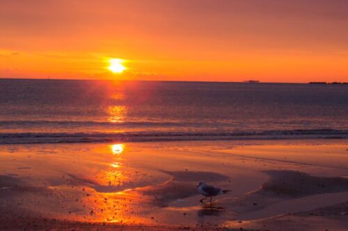 没有计划的北国之旅：在波士顿最北边的 Wonderland 欣赏日出，与一面之缘的朋友共享绝美早晨景致