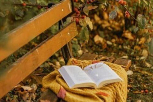 2020 年末 4 本必读书单：将所有悲伤、愤怒，借由文字的温度转化为希望的光芒！