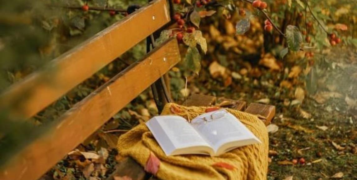 2020 年末 4 本必读书单:将所有悲伤、愤怒,借由文字的温度转化为希望的光芒! 内容图1 女神网-大潮社TV实时追踪属于女人新资讯的综合网站! 2020 年末 4 本必读书单:将所有悲伤、愤怒,借由文字的温度转化为希望的光芒! 心灵励志 图1张