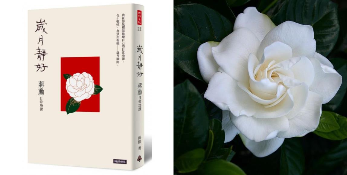 2020 年末 4 本必读书单:将所有悲伤、愤怒,借由文字的温度转化为希望的光芒! 内容图5 女神网-大潮社TV实时追踪属于女人新资讯的综合网站! 2020 年末 4 本必读书单:将所有悲伤、愤怒,借由文字的温度转化为希望的光芒! 心灵励志 图5张