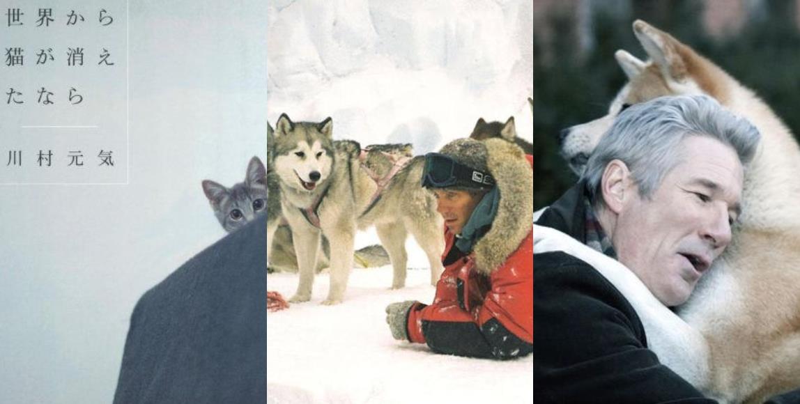 面纸先准备好!6 部描述人与宠物的故事,感动心中那份专属的爱! 内容图1 女神网-大潮社TV实时追踪属于女人新资讯的综合网站! 面纸先准备好!6 部描述人与宠物的故事,感动心中那份专属的爱! 影视娱乐 图1张