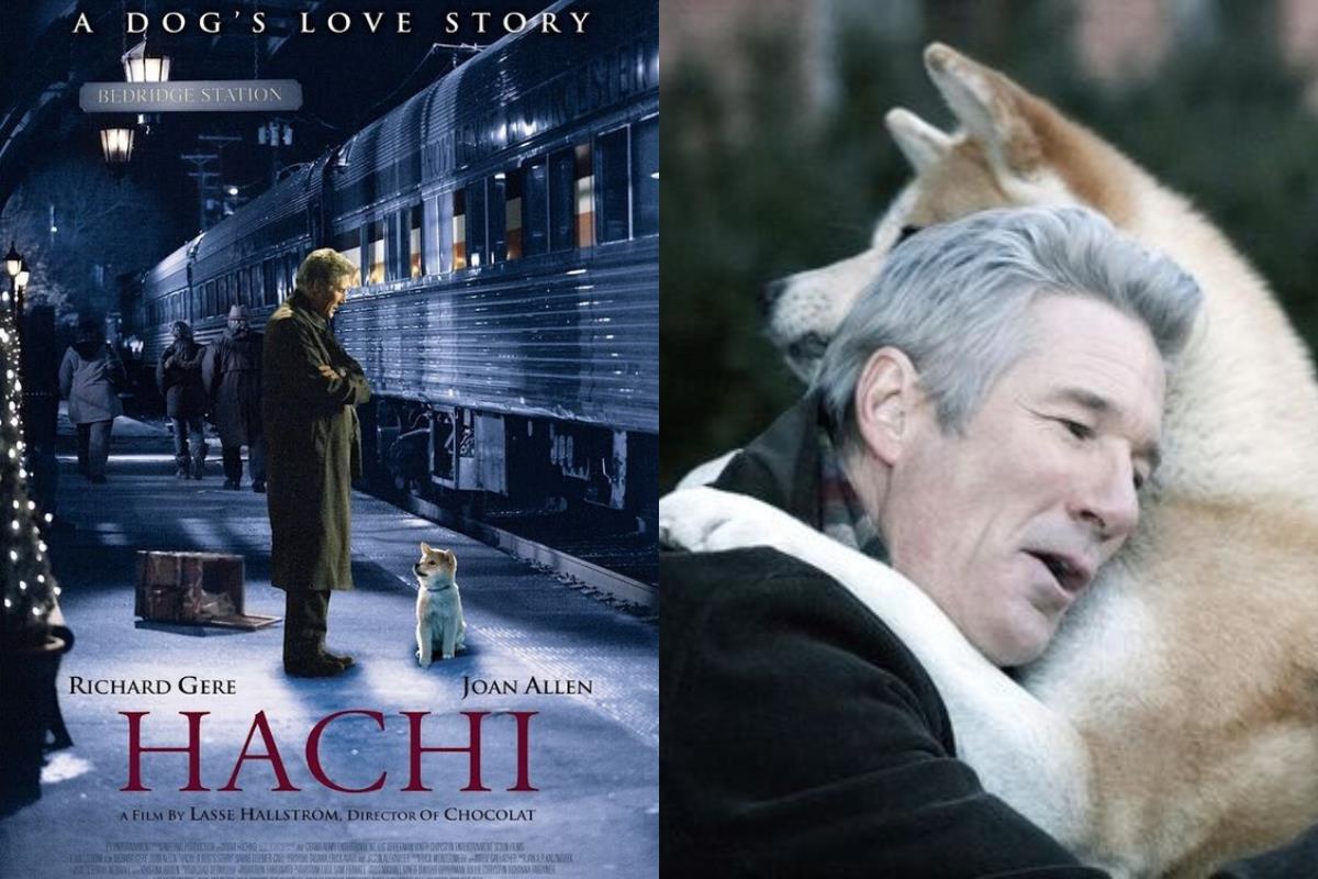 面纸先准备好!6 部描述人与宠物的故事,感动心中那份专属的爱! 内容图4 女神网-大潮社TV实时追踪属于女人新资讯的综合网站! 面纸先准备好!6 部描述人与宠物的故事,感动心中那份专属的爱! 影视娱乐 图4张